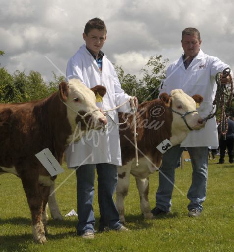 Ivomac Super Qualifiers at Armagh Show, exhibited by Jamie and Andrew Hannah